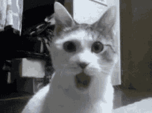 OMG!!!